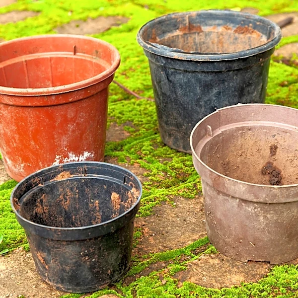 Don't Toss Old Nursery Pots: Give It A Budget-Friendly Upgrade With This DIY