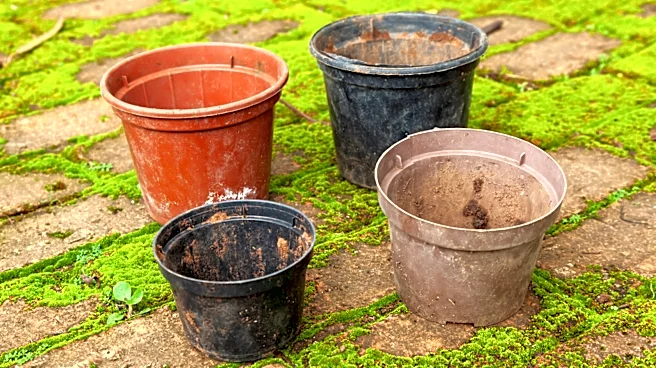 Don't Toss Old Nursery Pots: Give It A Budget-Friendly Upgrade With This DIY