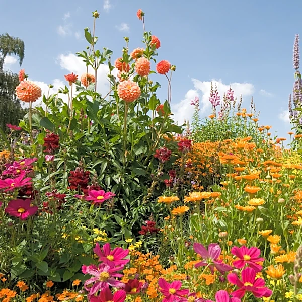 Not Green Or White: The Garden Color Palette Trend Seeing A Boom In 2026
