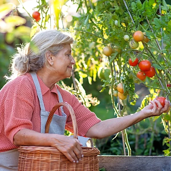 Ditch The Traditional Tomato Cage For An Alternative You Can DIY With Backyard Scraps