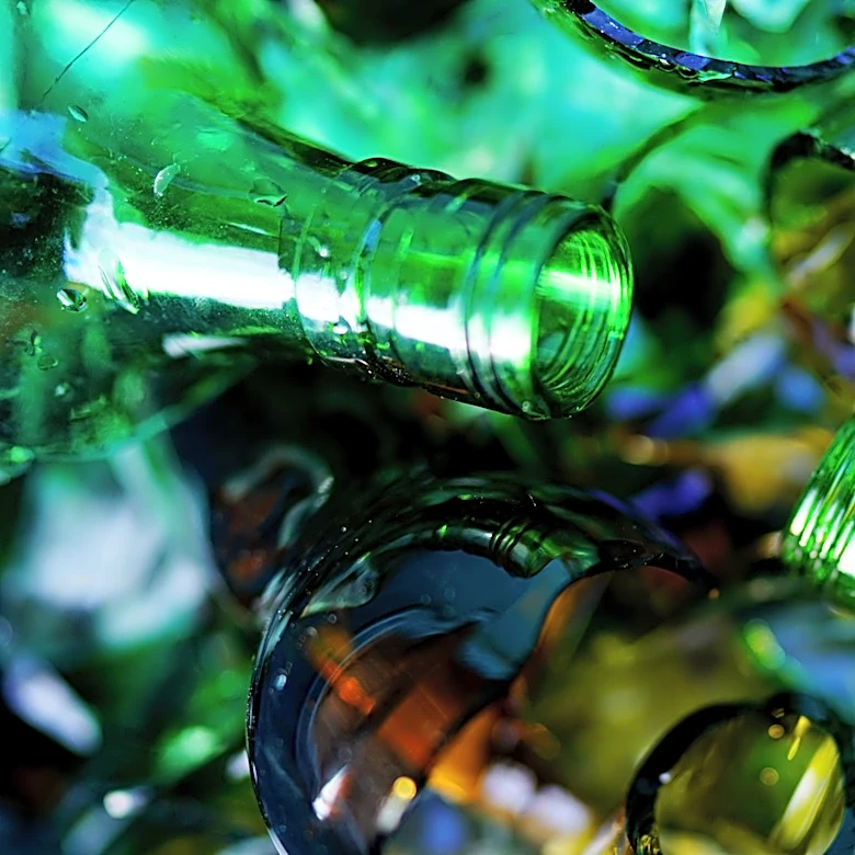 'This Is The Flex You Think It Is' - Woman Transforms Glass Bottles Into Stunning Plant Decor