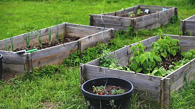 Ditch Boring Planters For Amazon's Smart Solution- 'My Vegetables Have Never Looked Greener'