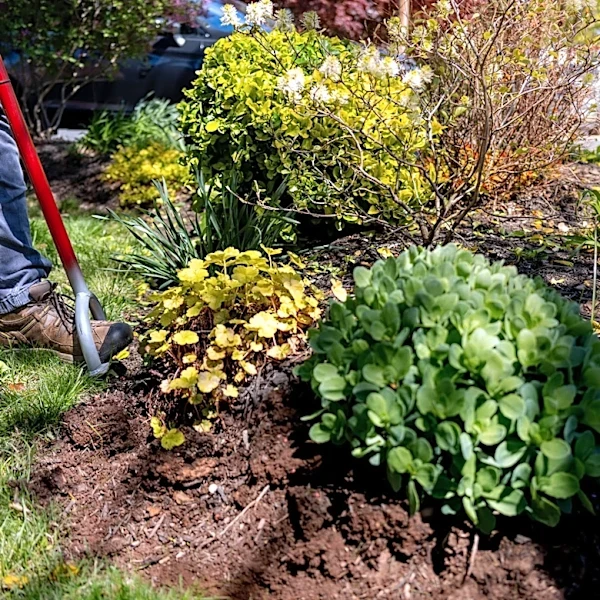 Not Brick, Not Pavers: The Garden Edging Alternative That'll Add A Rustic Touch