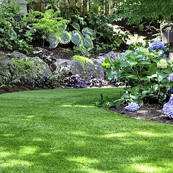 Not Hostas, Not Coral Bells: The Bold Yellow Plant That's Great For Your Shaded Garden