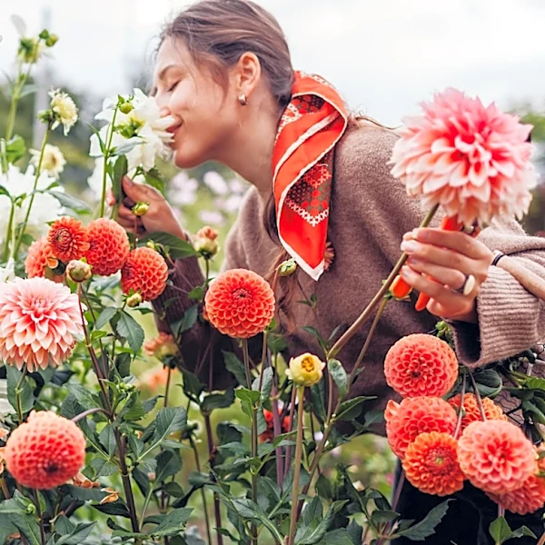 What's The Average Lifespan Of Perennial Plants In Your Garden?