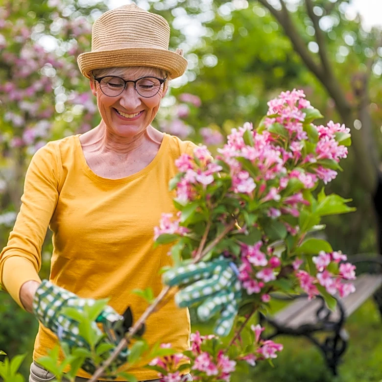 13 Summer Gardening Mistakes That Are Ruining Your Perennials