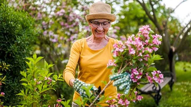 13 Summer Gardening Mistakes That Are Ruining Your Perennials