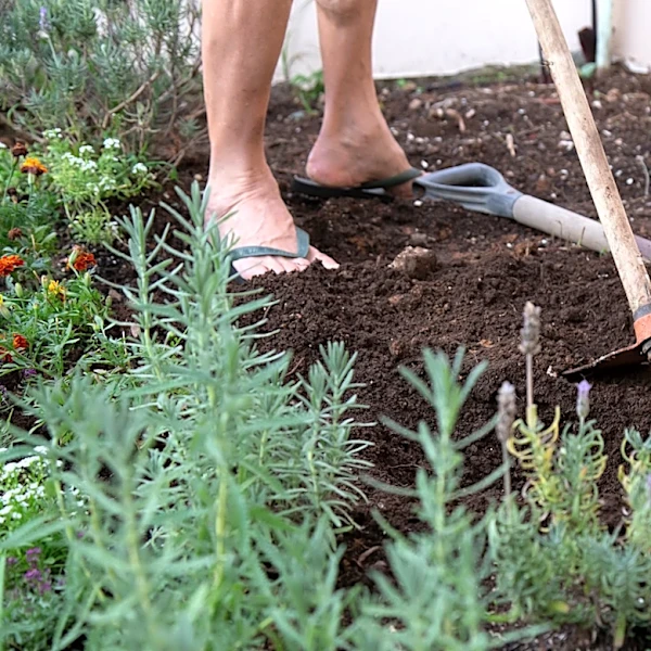 The Surprising Kitchen Scrap That Is Perfect For Amending Your Garden Soil