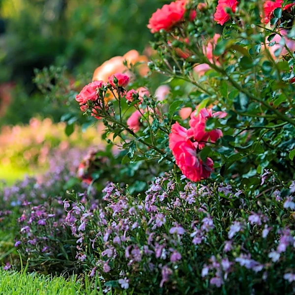 Ditch Flowers: Here's A More Creative Way To Infuse Color Into Your Garden Beds