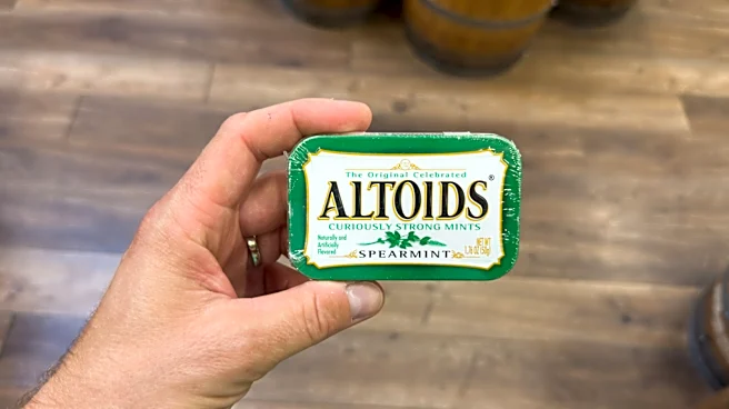 Upcycle An Empty Altoids Tin Into A Clever Kitchen Storage Solution