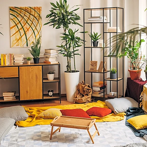 Everyone Had Them In The '80s: The Houseplant That Deserves A Spot In Your Living Room