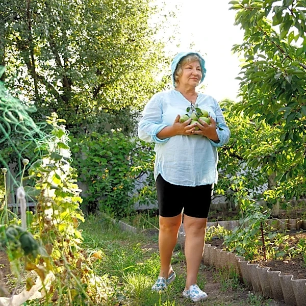 A Pear Tree Does More Than Spoil You With Juicy Harvests