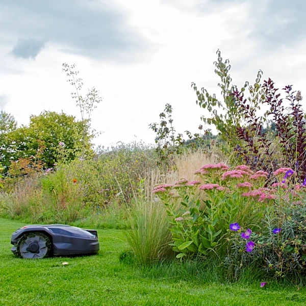 Consumer Reports Names The Best Robotic Lawn Mower For Small Yards In 2026