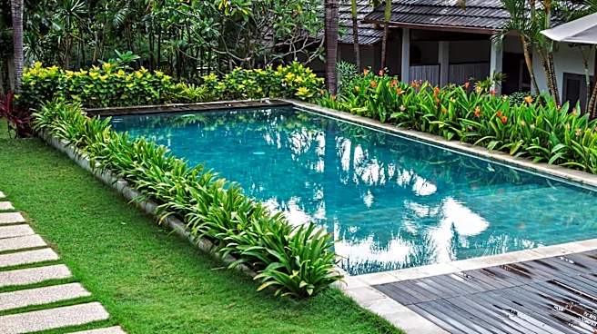 16 Heat-Tolerant Plants Perfect For Landscaping Your Pool Area With