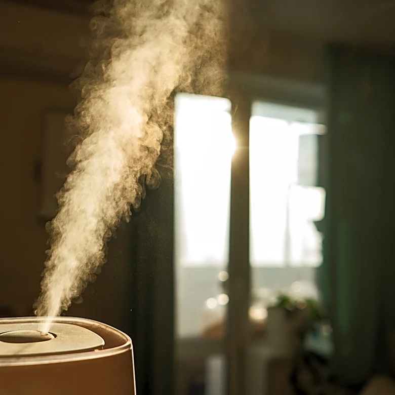 Why Consumer Reports Called This Humidifier One Of The Worst Products Of 2025