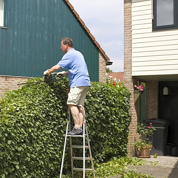 'Almost Run Out Of Trees To Cut:' What Buyers Think About Consumer Reports' Top-Rated Hedge Trimmer