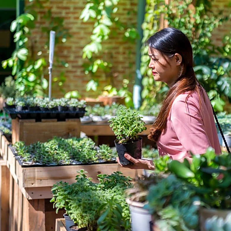 The Best-Kept Secret For Scoring Affordable Starter Plants For Your Garden Beds