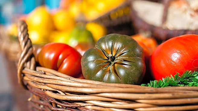 The Compact Tomato Perfect For Containers That Looks So Unique & Tastes Delicious