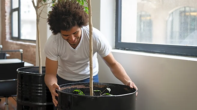 IKEA Has A $10 Solution That Makes Moving Large Planters A Breeze