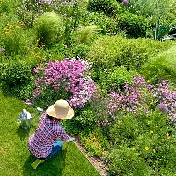 8 July Tasks That Keep Your Garden Thriving And Blooming All Summer