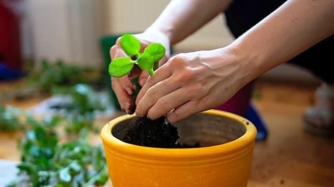8 Best Perennials To Propagate In June For A Summer Garden Full Of Lush Plants