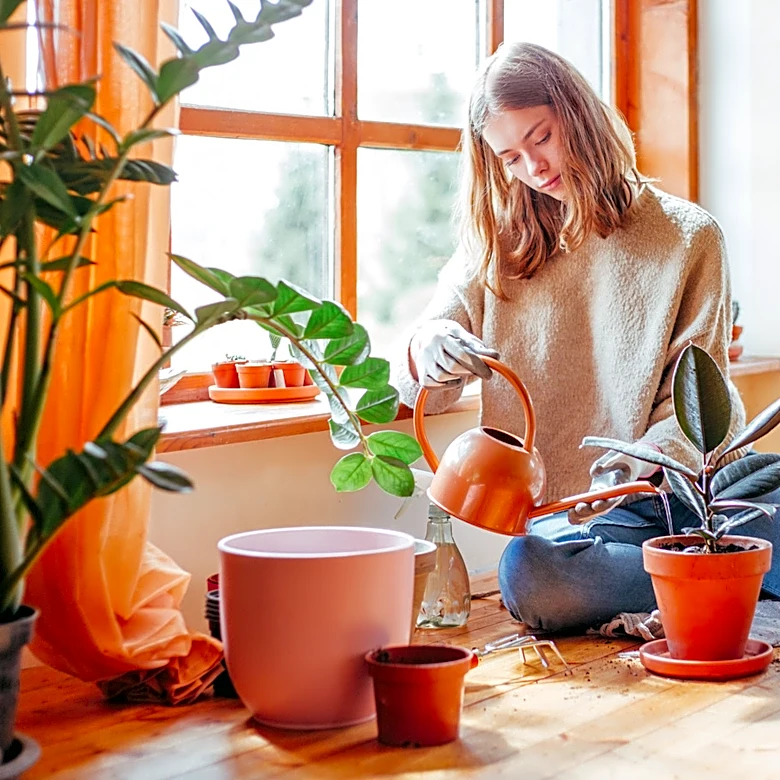 The Easily Thrifted Item That Makes A Budget-Friendly Planter Drip Plate