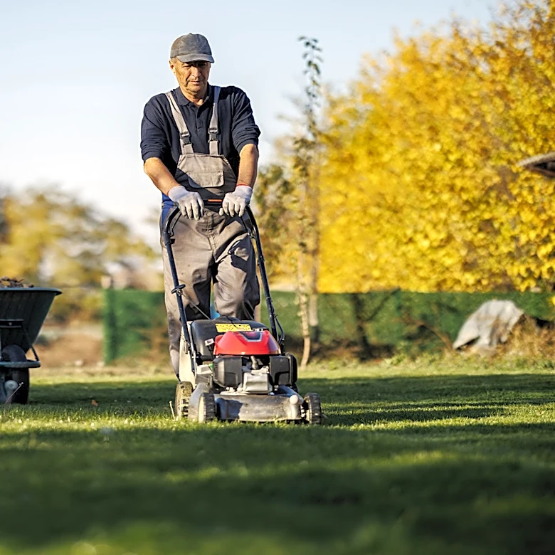 Not Stripes Or Checkered: The Lawn Pattern That'll Add Visual Interest To Your Yard