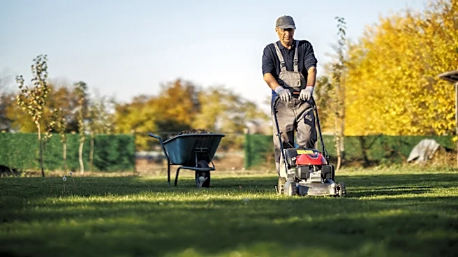 Not Stripes Or Checkered: The Lawn Pattern That'll Add Visual Interest To Your Yard