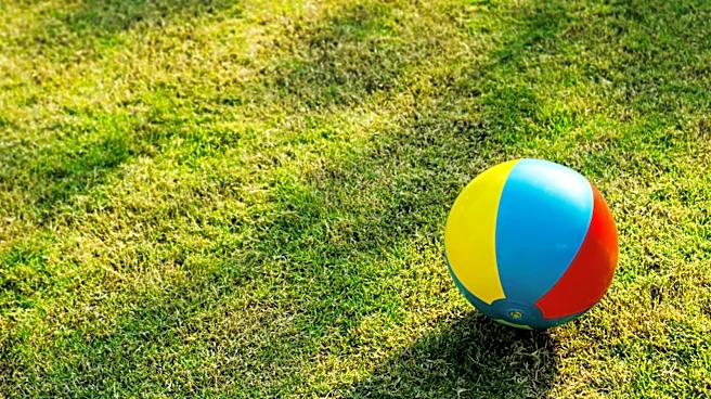 Turn A Plastic Beach Ball Into Chic Yard Decor That Looks Expensive