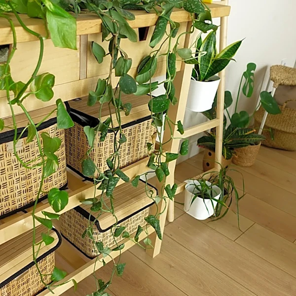 Ditch Cluttered Shelves: IKEA Has An Affordable Solution For Plants That Doubles As Storage