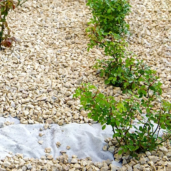 Forget Weed Barriers: Keep Weeds Out Of Your Gravel Garden Beds Using Herbs Instead