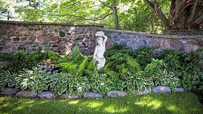 The Sweet-Smelling Herb Best For Growing Ground Cover In The Shade