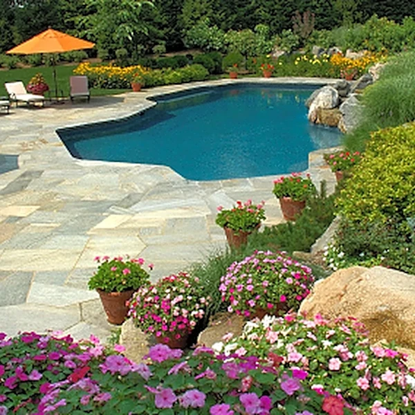28 Best Perennials You Should Be Growing Near Your Pool