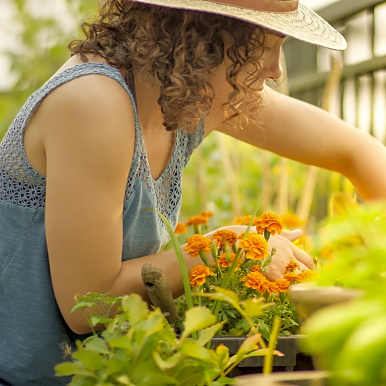 18 Best Perennials You Should Be Planting In July