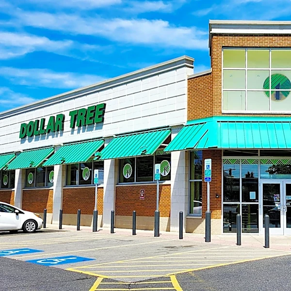 9 Exciting Dollar Tree Items Hitting Shelves This Summer