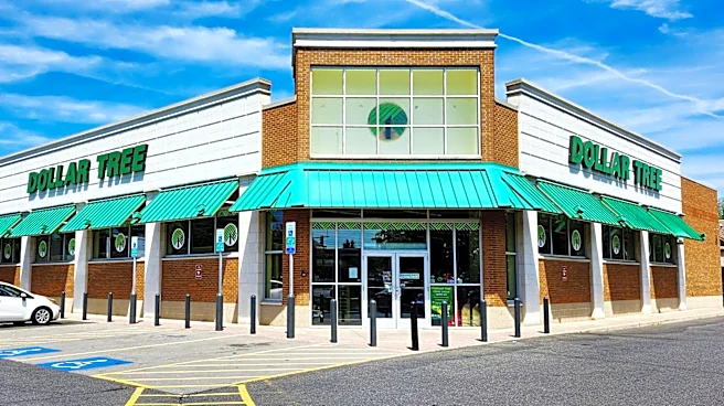 9 Exciting Dollar Tree Items Hitting Shelves This Summer