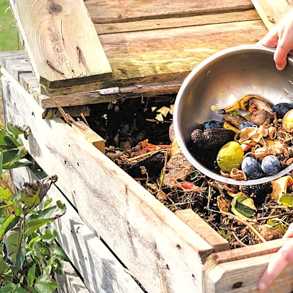 Not Tissues: The Overlooked Scrap From Your Bedroom To Compost