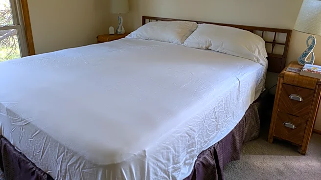 Review: I Spent Two Nights Snuggled Up With Bedsure's Organically Grown Bamboo Viscose Sheet Set