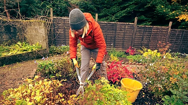 Sharpen Your All Garden Tools With An Easy Solution From Amazon