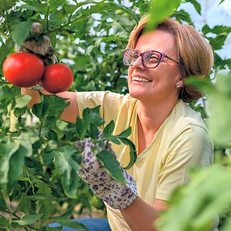 The Old-School Tomato Fertilizer Your Grandma Used That We Can't Recommend