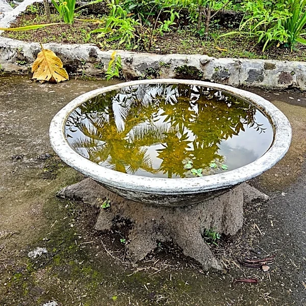Ditch Traditional Bird Baths: There's An Amazon Find That's Easy To Clean