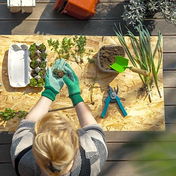 Bring Tropics Into Your Home With A Deliciously Sweet Plant You Can Grow In Pots