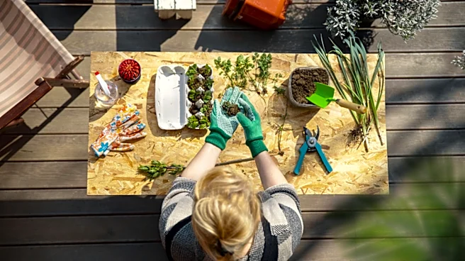 Bring Tropics Into Your Home With A Deliciously Sweet Plant You Can Grow In Pots