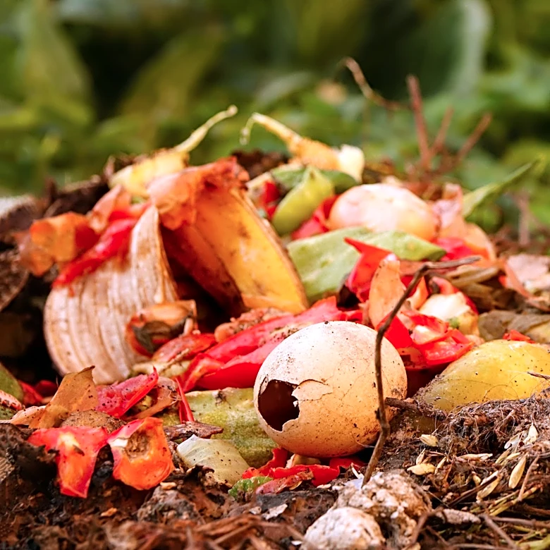 Not Coffee, Not Tea: The Beverage You Could Be Adding To Compost