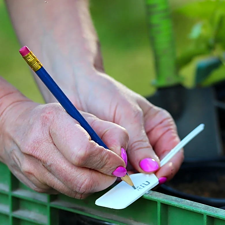 Give Your Garden Beds A Rustic Look With A Labeling Upgrade From Amazon