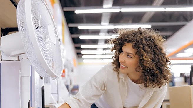Not A Tower, Not A Box: The Most Energy-Efficient Fan Type For Your Home