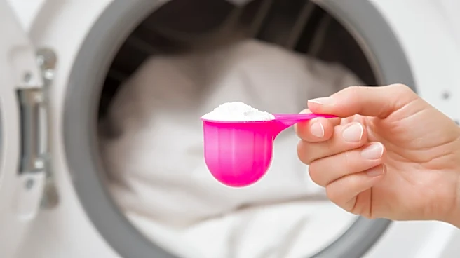 Consumer Reports Names The Worst Powdered Laundry Detergent Brands For 2026