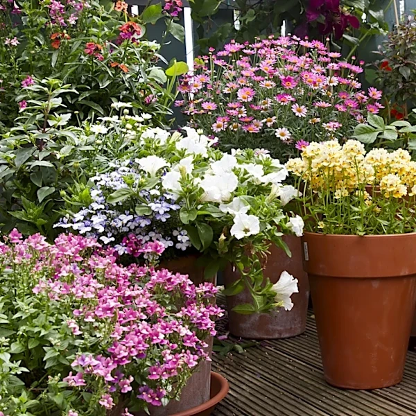 How Often Do I Need To Fertilize Soil In Outdoor Potted Planters?
