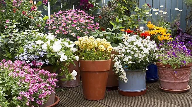 How Often Do I Need To Fertilize Soil In Outdoor Potted Planters?