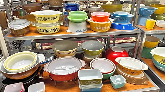 It Was Popular In The '60s — The Rare Pyrex Bowl That's A Thrift Store Gem